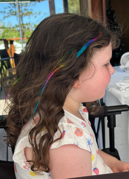 Rainbow Feather Hair Extensions