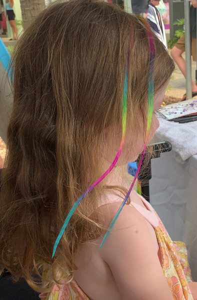 Rainbow Feather Hair Extensions