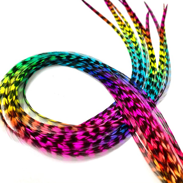 Rainbow Feather Hair Extensions – 4 Lengths, Vibrant Colours for All Styles